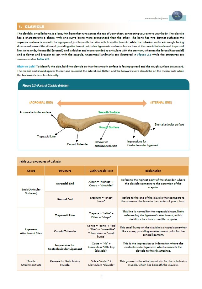 Book Page 2