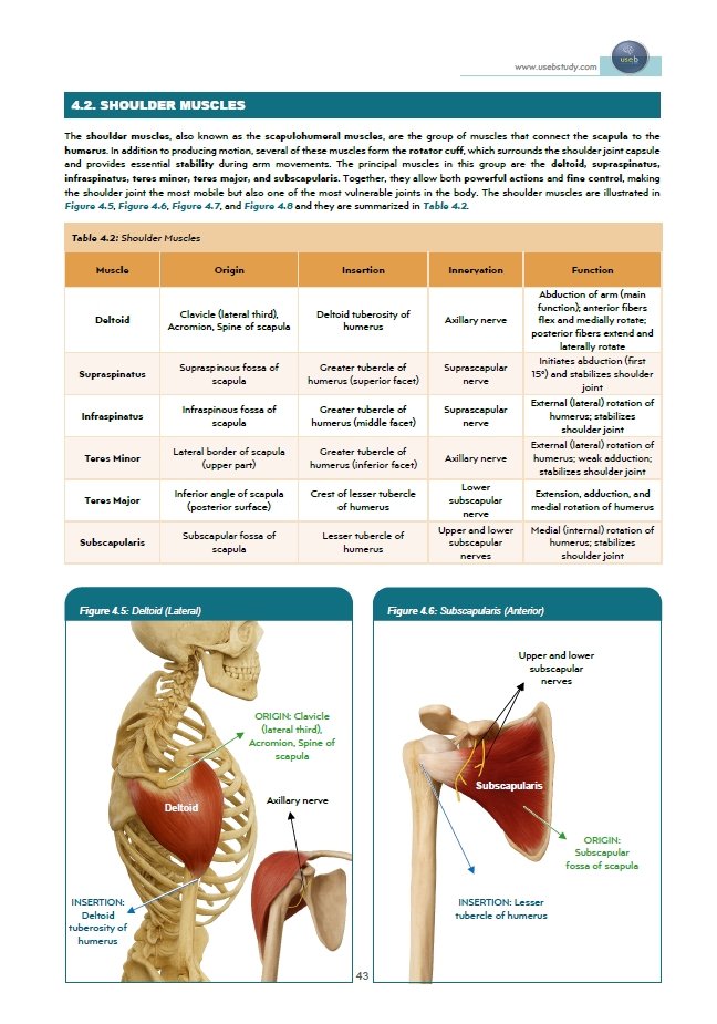 Book Page 4