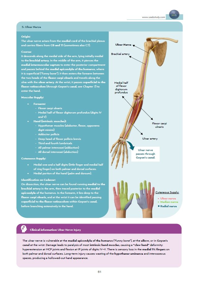 Book Page 6