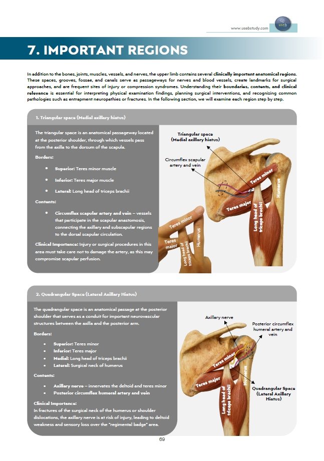 Book Page 7