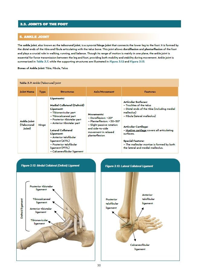 Book Page 3