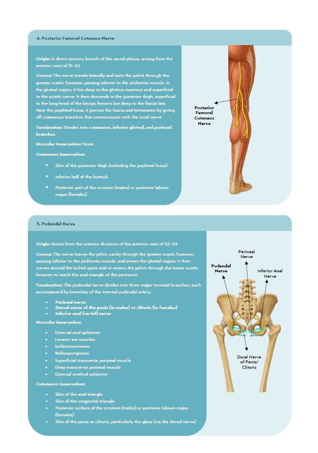 Book Page 5