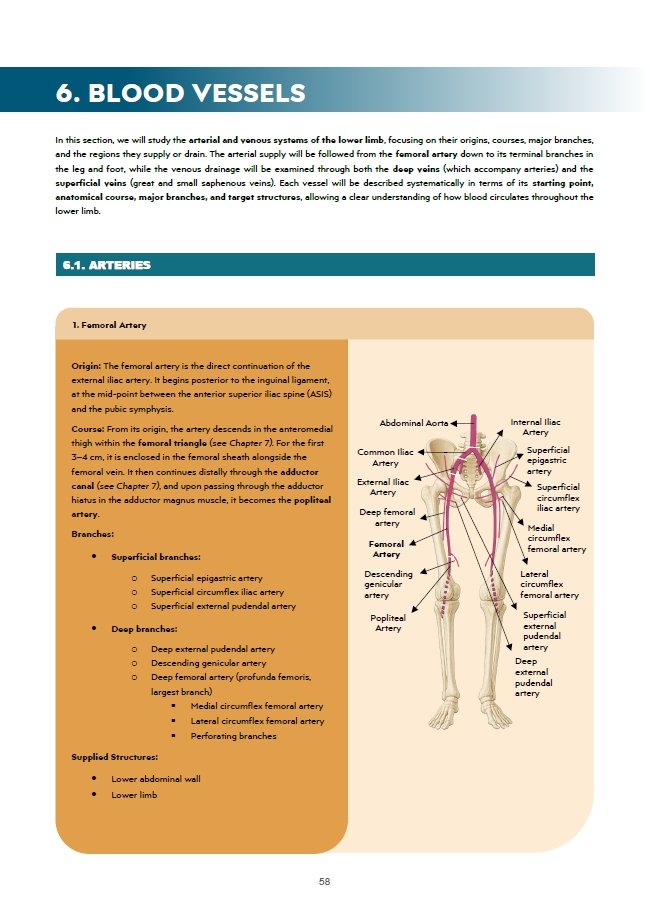 Book Page 6