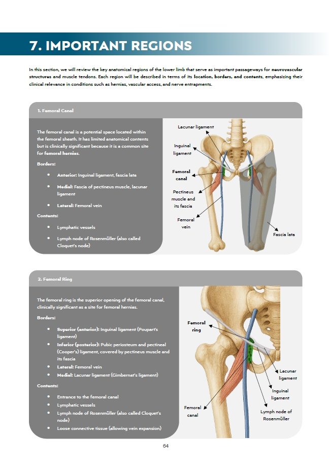 Book Page 7